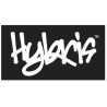 Hybris Online